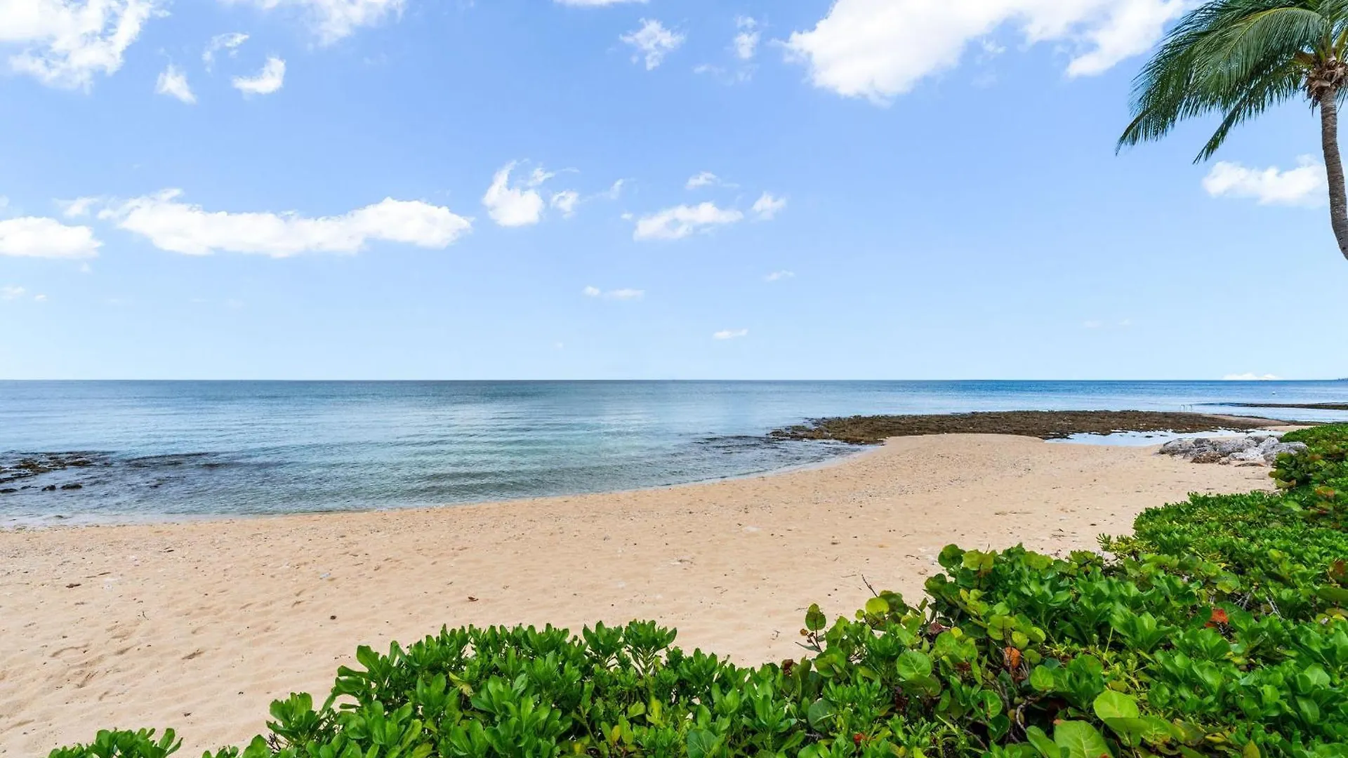 7 Mile Beach, 2Br Ground Floor Oceanfront Condo With Pool And Large Patio, Sleeps 6 George Town 0*,